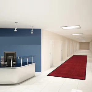 Red/Black Rubber-Backed Runner Mat in Reception Hallway